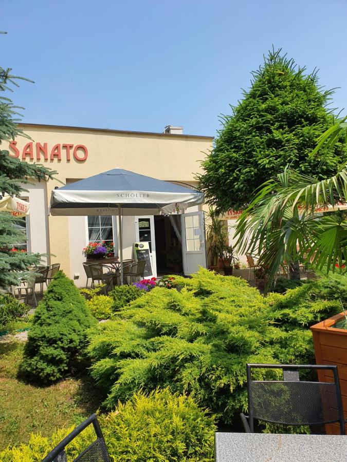 Отель Pensjonat Sanato Буско-Здруй Экстерьер фото